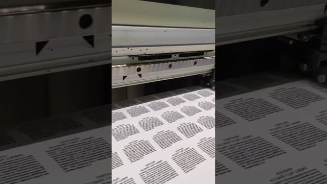 Создание Профессиональных Наклеек для Сыра: Типография Осьминожка смотреть онлайн