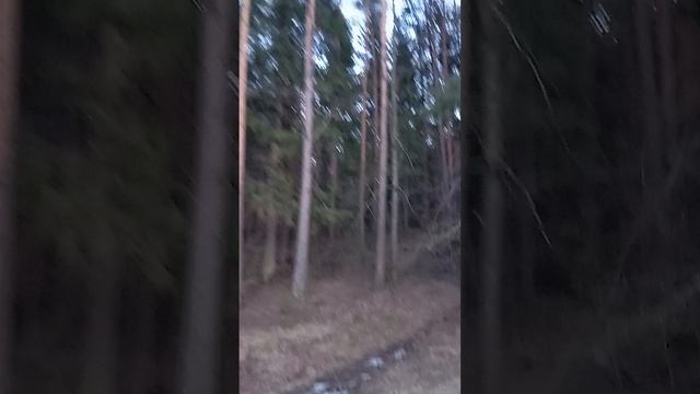 1000090609.mp4