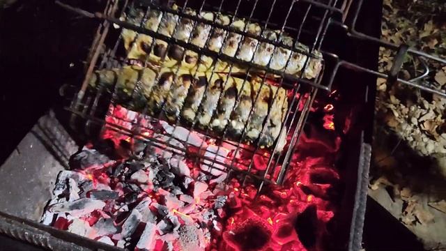 ВКУСНЕЙШАЯ, СОЧНЕЙШАЯ СКУМБРИЯ на МАНГАЛЕ... смотреть онлайн