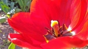 Евпаторийский Этюд №1