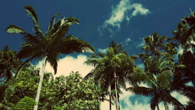 * Mystical Oasis * Orient Dub Mix - Chapter VI - Ethnic Selection смотреть онлайн