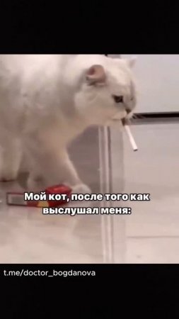 Заведите кота и рассказывайте ему о своих мыслях и переживаниях...
#психология #психотерапия #стресс