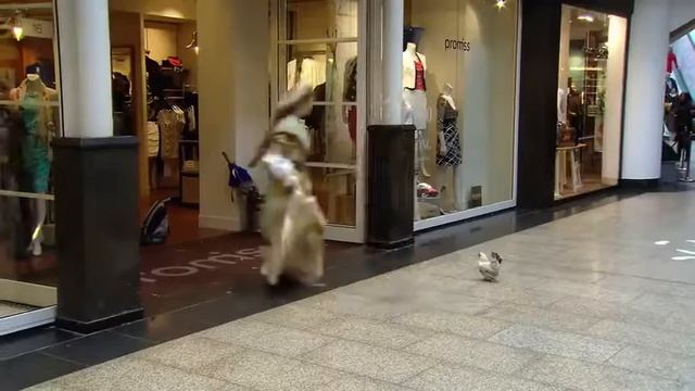 A Dutch Museum Flash Mob 😍 😮 смотреть онлайн