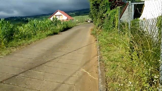 206 td04 2l hdi accélerateur embrayaga 5 patins смотреть онлайн