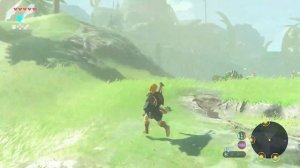 The Legend of Zelda: Breath of the Wild  [100%] (2017) [Nintendo Switch] - Часть 5 из 25