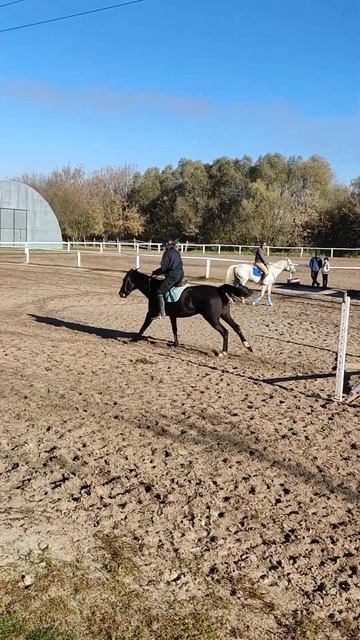 первый конкур VID 20221015 093849 смотреть онлайн