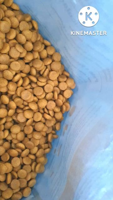 Essa ração TEM GRÃO PERFEITO!! | Ração para cachorro смотреть онлайн