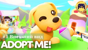 🐶 Роблокс Адопт Ми (Усынови меня, Adopt Me) #1 Внешний вид ✨