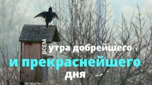 С добрым утром и хорошим днём!