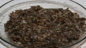 Грибная икра