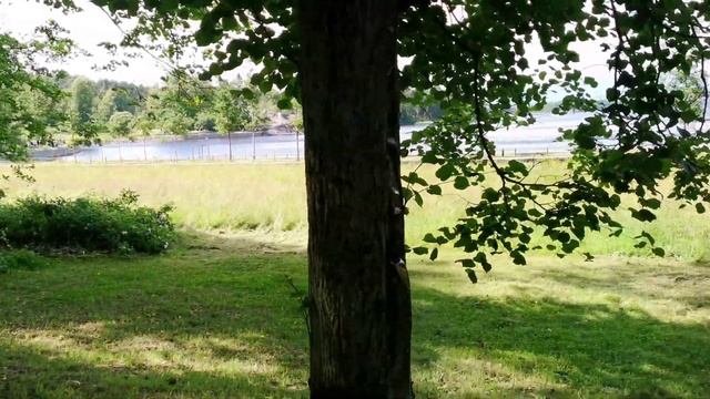 Выборг - Монрепо парк смотреть онлайн