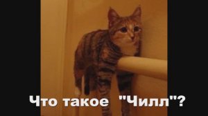 "Что это за слово?" Чилл/Chill