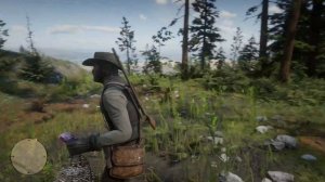 RDR 2: Herbalist Challenge 10 Prep - Plump Bird Meat