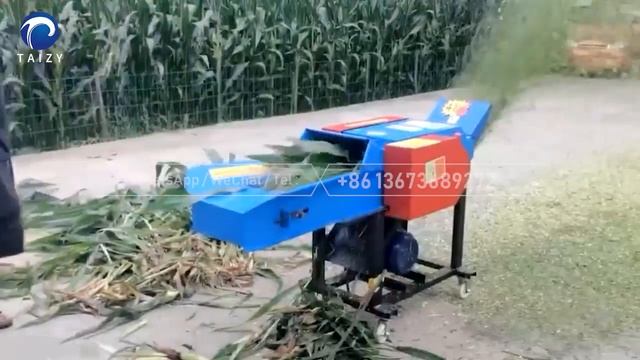 Multifunctional Chaff Cutter Machine | Grass Cutting Machine for Silage Production as Animal Feed смотреть онлайн
