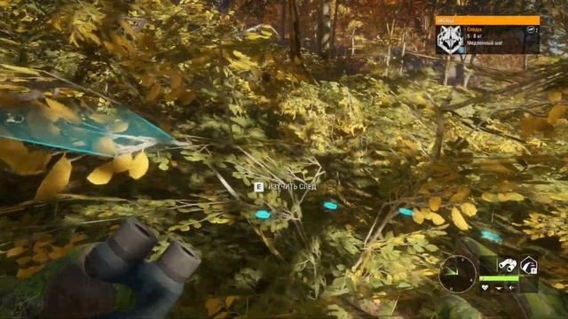 Охота в Hirschfelden на лань и канадскую казарку смотреть онлайн