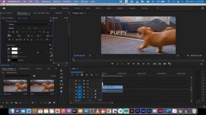 How to Center Text in Premiere Pro CC 2021