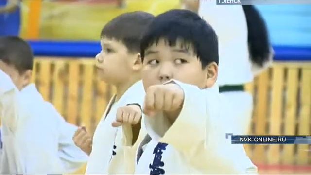 Мастера кёкусинкай каратэ развиваются в Ленском районе смотреть онлайн