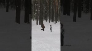 RUSSIA ТОЛЬЯТТИ ЛЕС КАТАЕМСЯ С ГОРКИ! ЗИМА-YOUTUBE