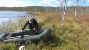 Как жить в лесу одному. Анонс к воскресному ролику.