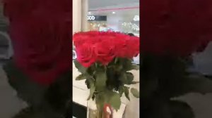 ТОЛЬЯТТИ ЛЕТУАЛЬ ТРК РУСЬ НА ВОЛГЕ -YOUTUBE