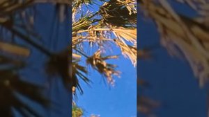 Бергэ булу рэхэт, кунелле.  Мэсихчелэр жыры