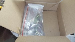 27 марта 2025 г.
Новые растения в коллекцию. Распаковка посылки.