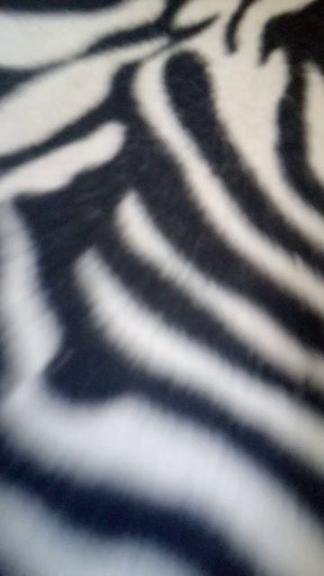 диван в клеточку смотреть онлайн