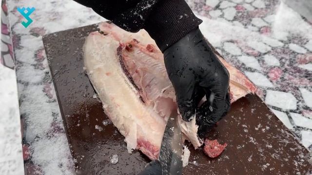 ЩЕКУР (ЧИР): разделка по-ненецки смотреть онлайн