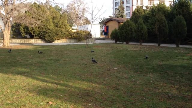 Чья возьмет? смотреть онлайн