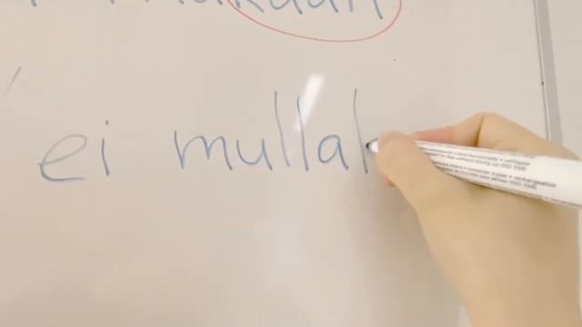 Частицы -kin и -kaan/-kään. -Kin ja -kaan/-kään-liitepartikkelit. смотреть онлайн