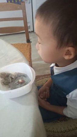 Эксперимент с фасолью