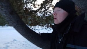 "У Природы нет плохой погоды" ©