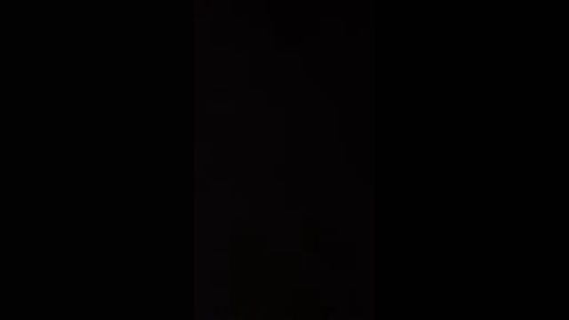 Где должна быть собака смотреть онлайн