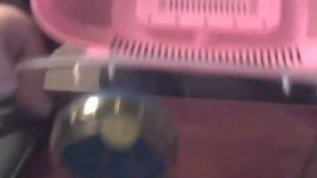 Видео c веб-камеры от 24 марта 2015 г., 20:24 (UTC) смотреть онлайн