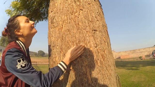 Бурундуки и бурундучиха смотреть онлайн