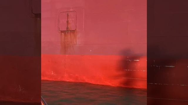 thaots.com смотреть онлайн