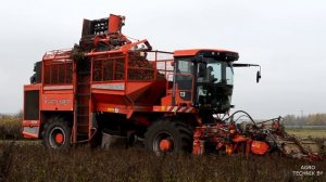 Holmer T3 Уборка сахарной свеклы