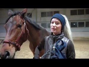 Работа в руках с молодой лошадью. С чего я начинаю? С чего начать?