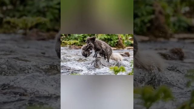 КРАСИВАЯ ПРИРОДА УРАЛА