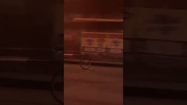 ШОРТЫ by FRANK AUTO  | 6