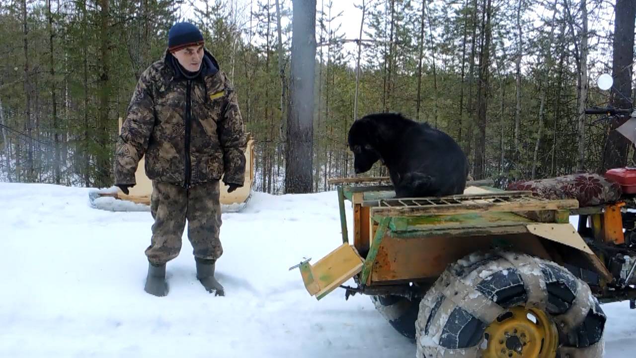 По болоту на снегоходе. Трёхколёсный самодельный снегоход.