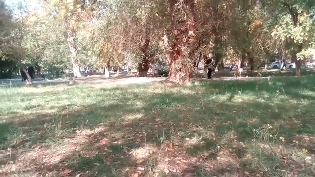 Бабушка-соседка  Рослякова рассказала о нём и его семье Реальное интервью