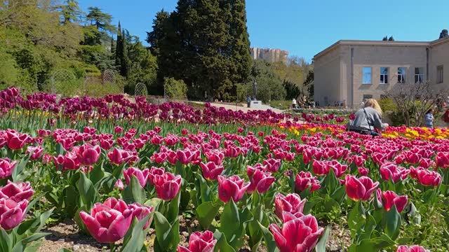 Никитский сад смотреть онлайн