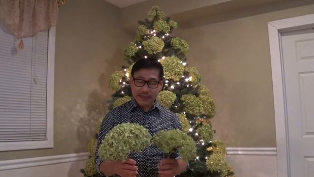 ANNABELLE HYDRANGEA AS CHRISTMAS TREE DECOR смотреть онлайн