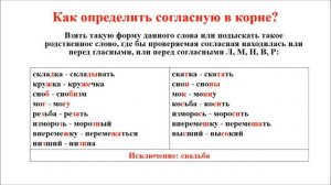 Правописание согласных в корне