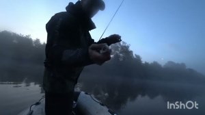 Daiwa steez minnow 110sp ,судак оценил.