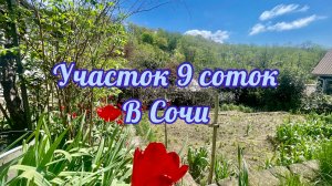 Участок в Сочи