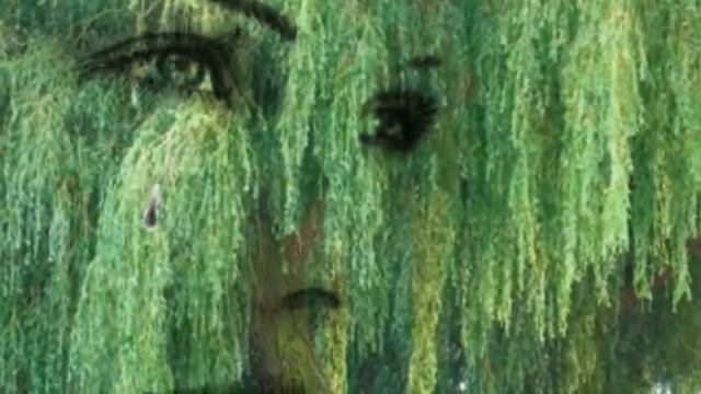 Горько плакала ива Ненси смотреть онлайн