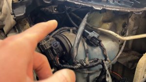 Honda Freed -   европейский свет, леворульный свет