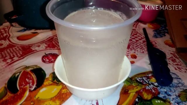 NEUBULIZACIONES DE EUCALIPTO CON VAPORUB смотреть онлайн